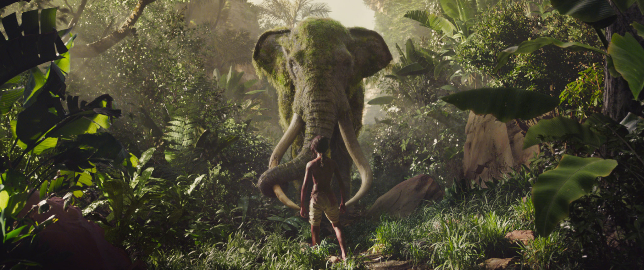 JUNGLE BOOK ORIGINS