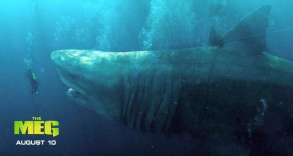 the meg spry film review 1